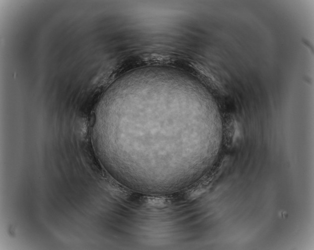 X0000091580709200708271220