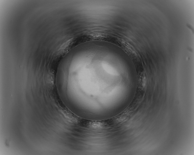 X0000091580710200708271220
