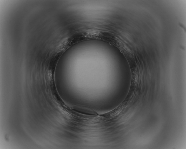 X0000091580711200708271220