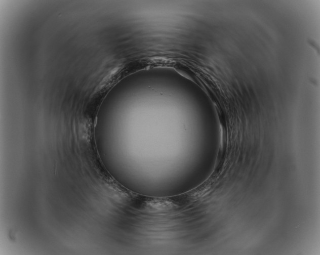 X0000091580712200708271220