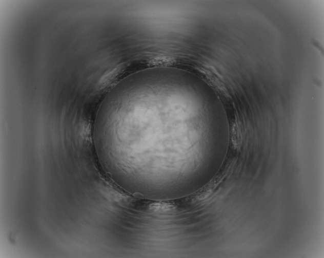 X0000091580714200708271220