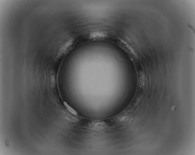 X0000091580716200708271220
