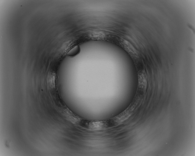 X0000091580717200708271220