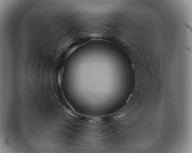 X0000091580720200708271220
