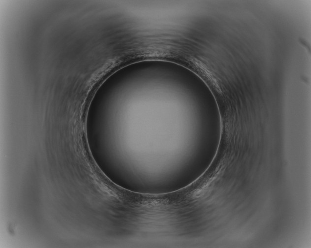 X0000091580721200708271219