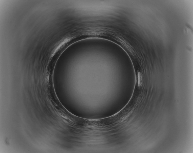X0000091580723200708271219