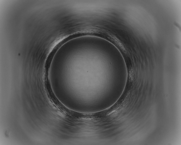 X0000091580724200708271219