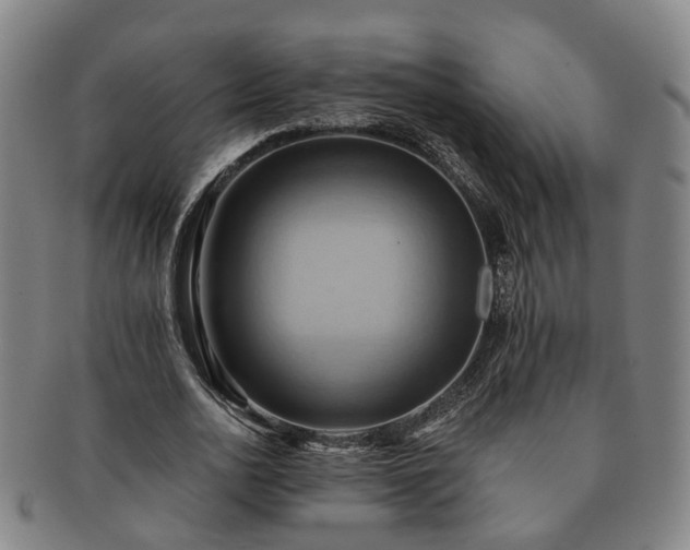 X0000091580726200708271219