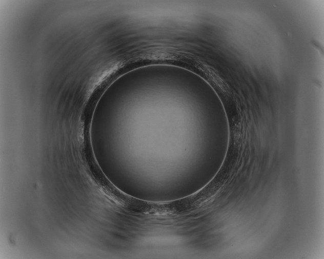 X0000091580727200708271219