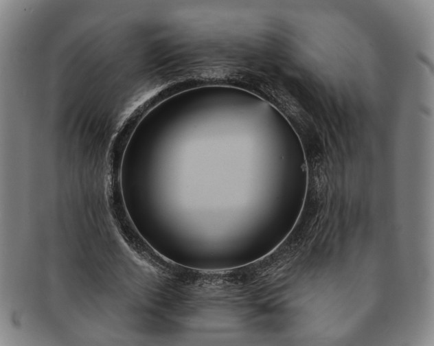 X0000091580728200708271219