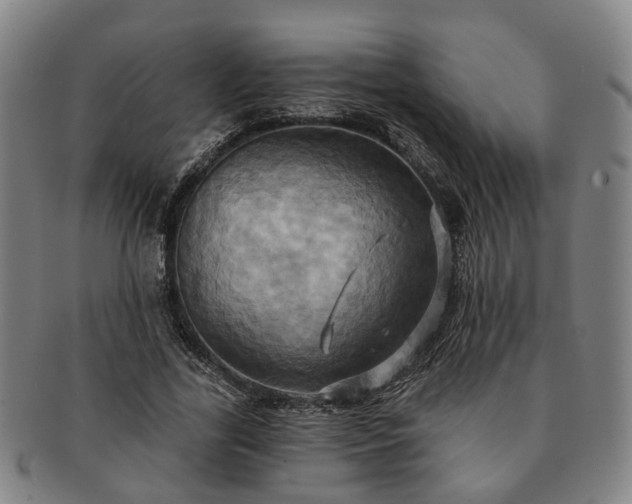 X0000091580731200708271219
