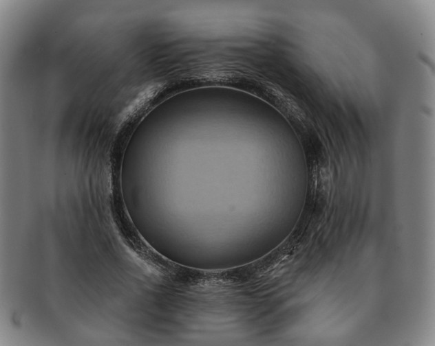 X0000091580734200708271219