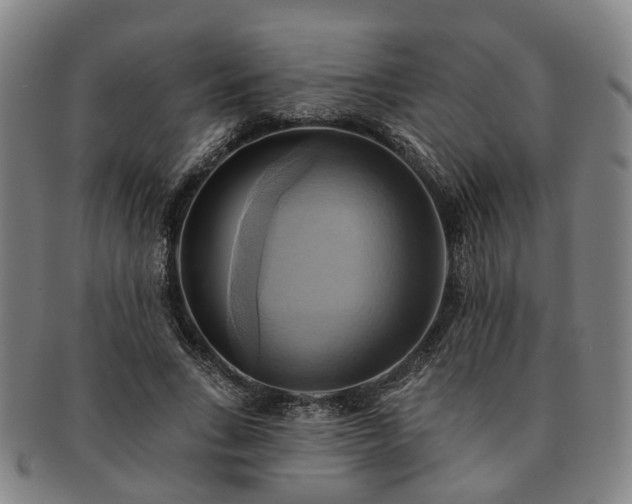 X0000091580735200708271219
