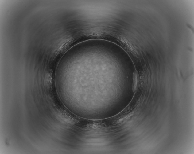 X0000091580739200708271219