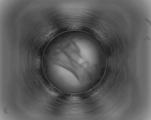 X0000091580741200708271219