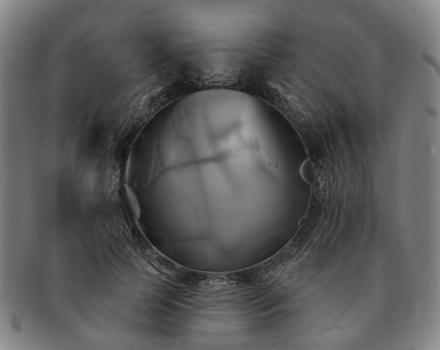 X0000091580745200708271220