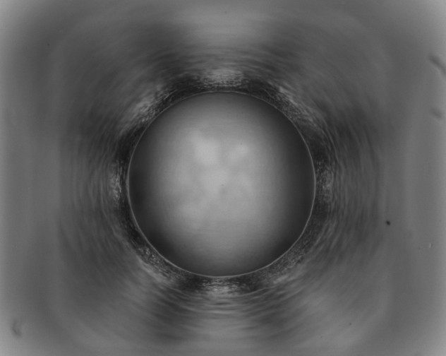 X0000091580746200708271220