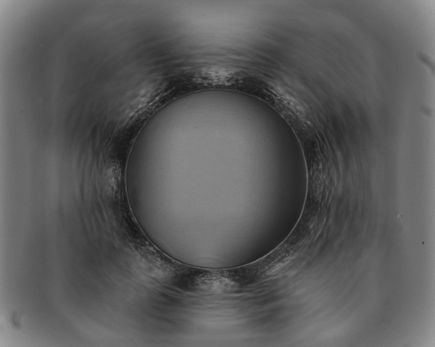 X0000091580747200708271220