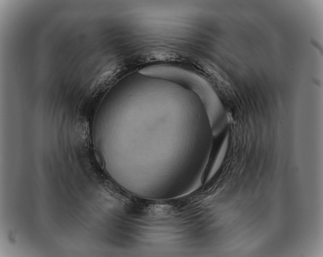 X0000091580748200708271220