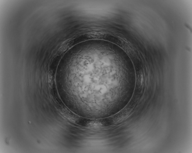 X0000091580749200708271220