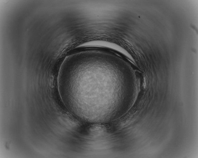 X0000091580750200708271220