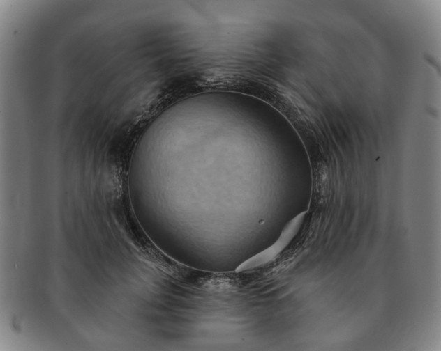 X0000091580751200708271220