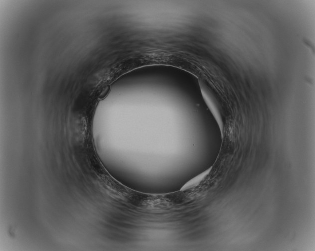 X0000091580752200708271220