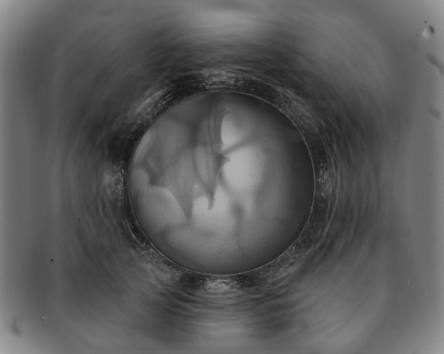 X0000091580753200708271220