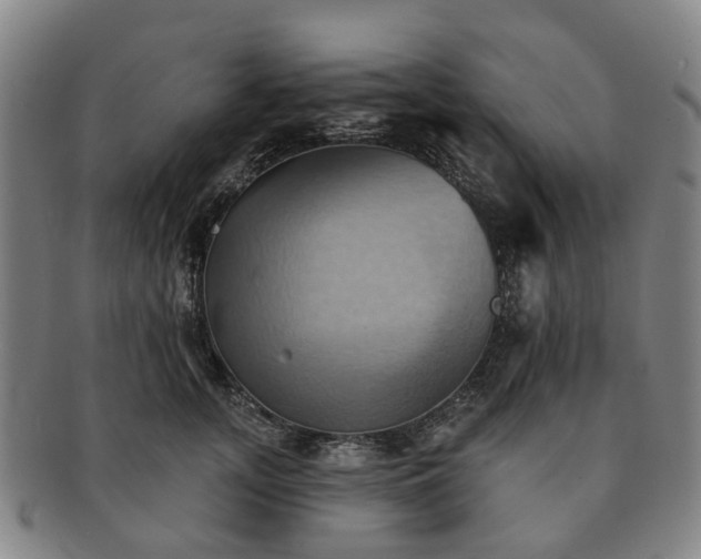X0000091580755200708271220