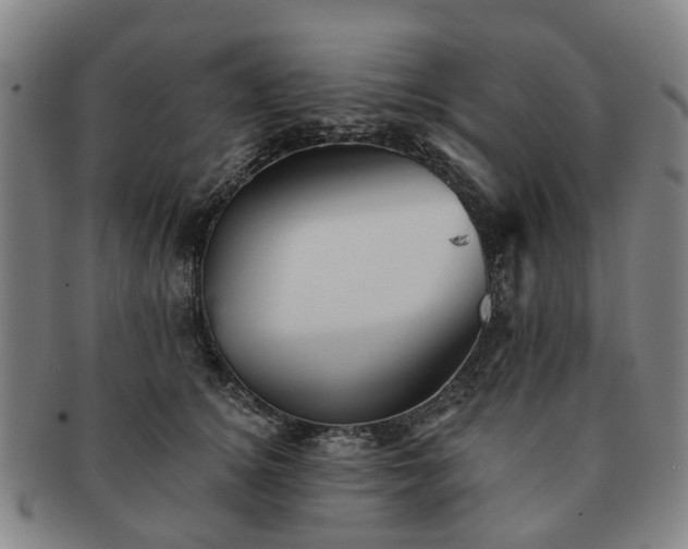 X0000091580756200708271220