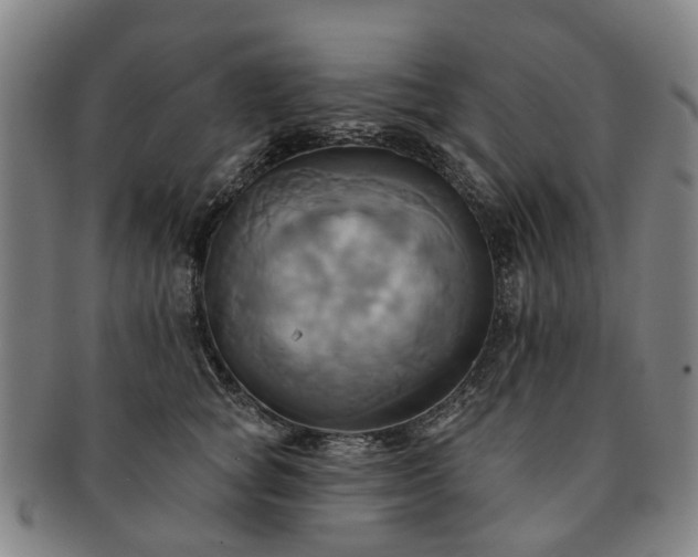 X0000091580757200708271220