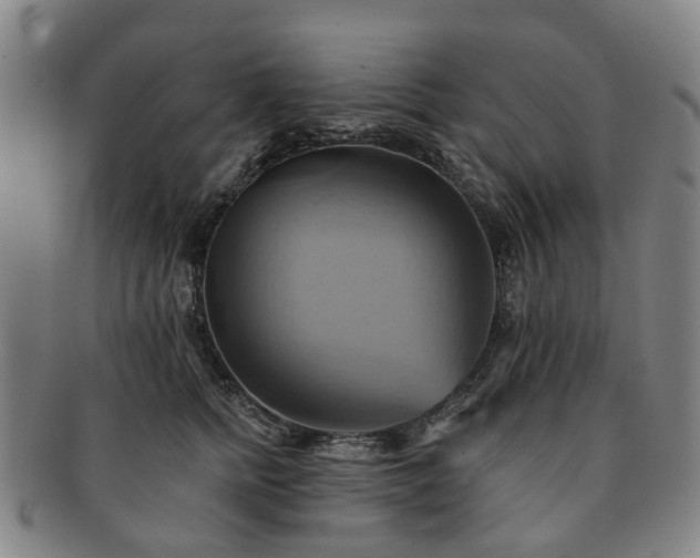 X0000091580758200708271220