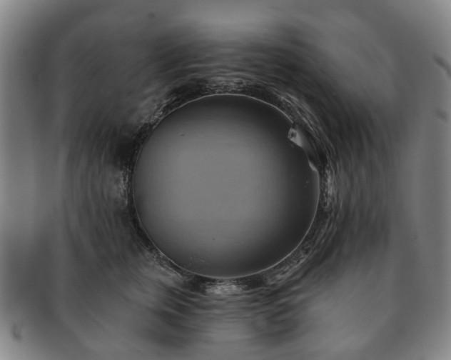 X0000091580759200708271220
