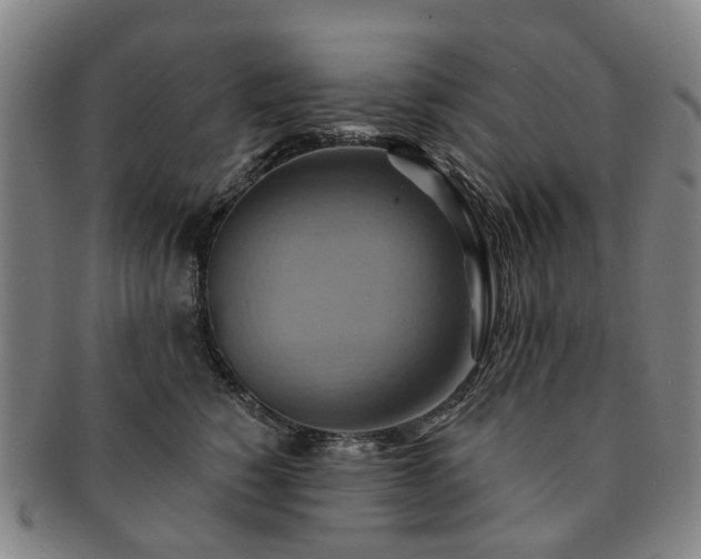 X0000091580760200708271220