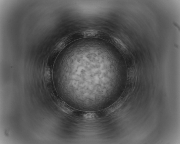 X0000091580761200708271220