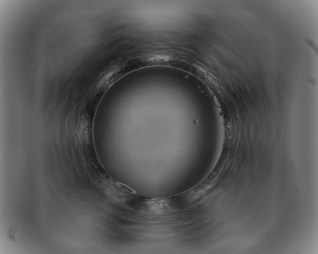 X0000091580762200708271220