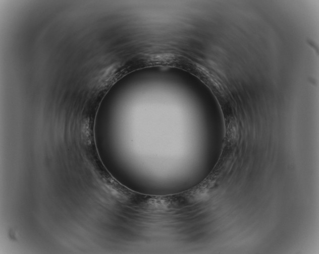 X0000091580764200708271220