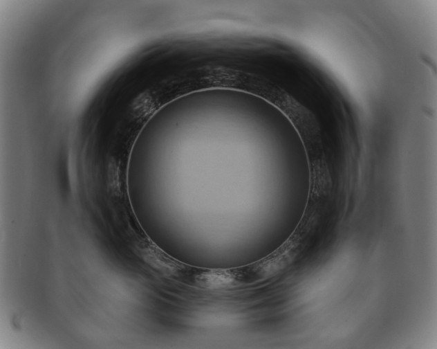 X0000091580765200708271220