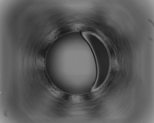 X0000091580766200708271220