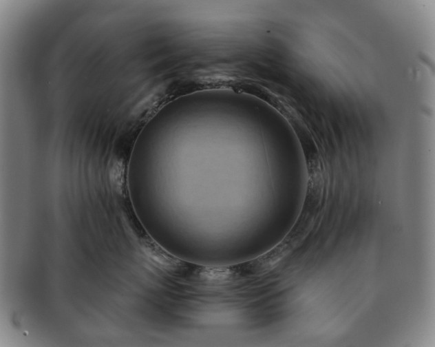 X0000091580767200708271220
