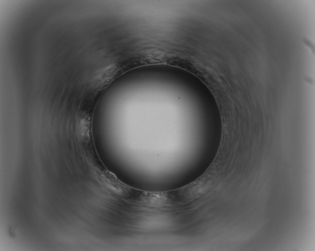 X0000091580768200708271220
