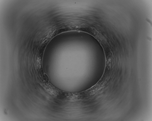 X0000091580772200708271219