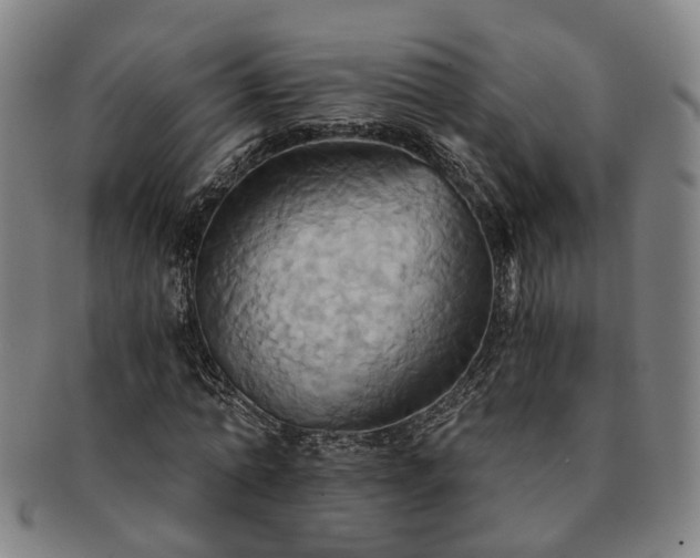 X0000091580774200708271219