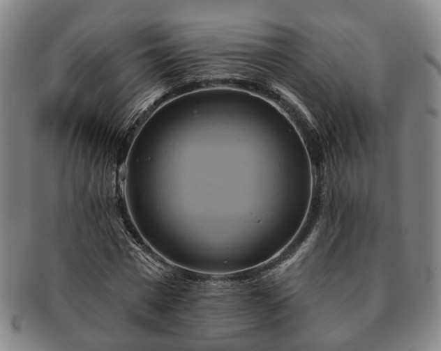 X0000091580777200708271219