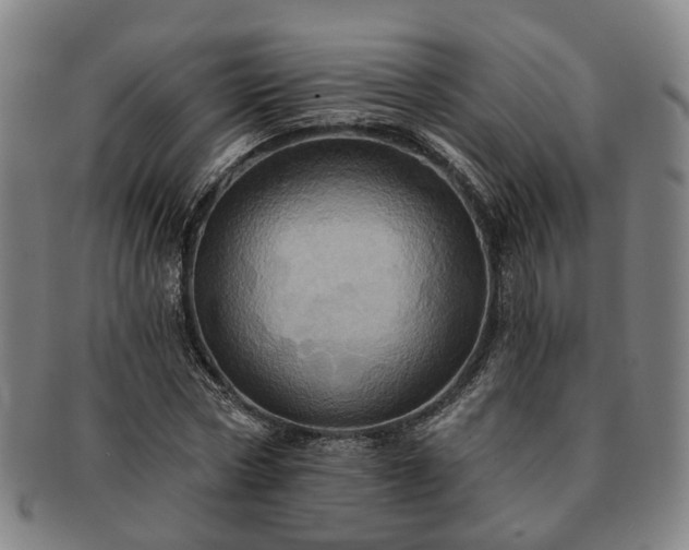 X0000091580778200708271219