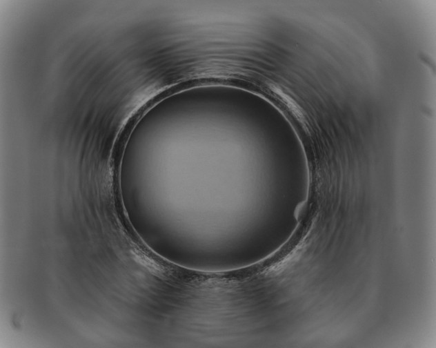 X0000091580779200708271219