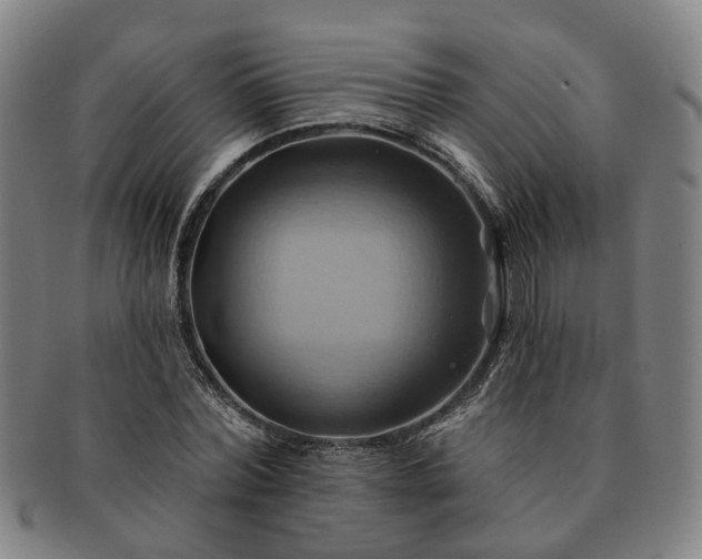 X0000091580780200708271219