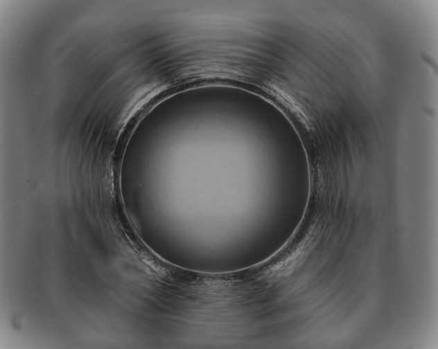 X0000091580782200708271219