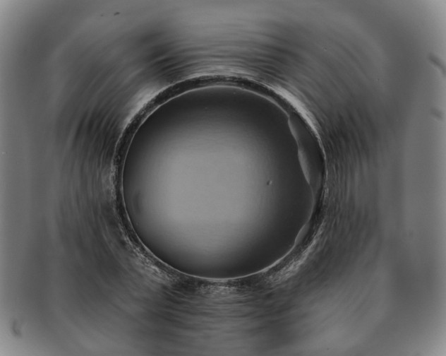 X0000091580783200708271219