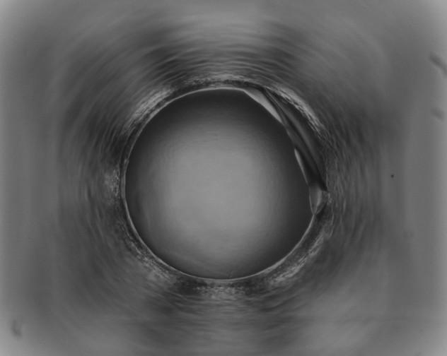 X0000091580785200708271219